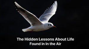 Hidden Lesson